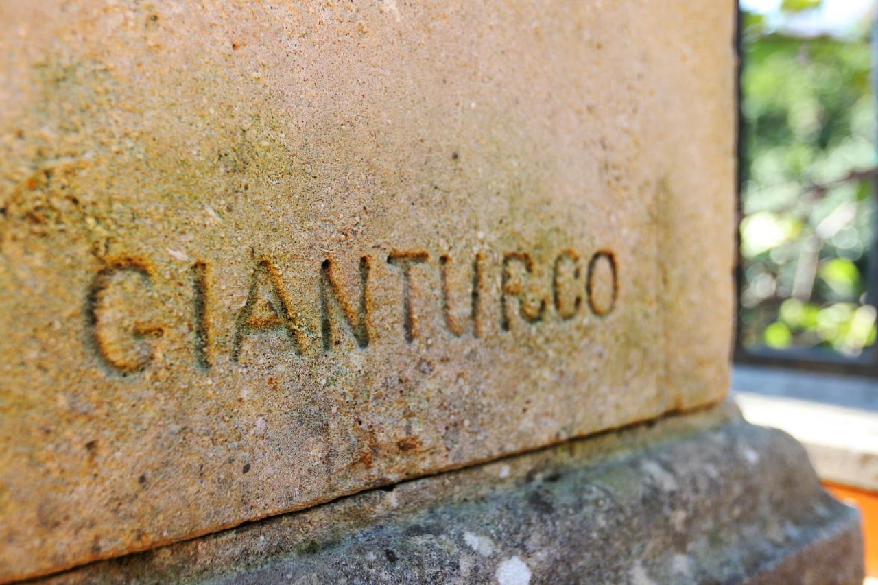 Villa Gianturco - Luxury In The Green Island イスキア島 エクステリア 写真